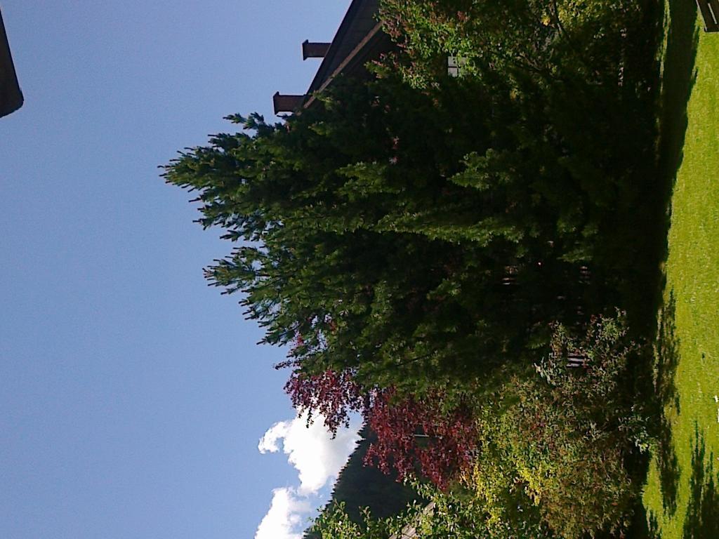 Ferienhaus Zipfmatl Keusche Bad Kleinkirchheim Extérieur photo